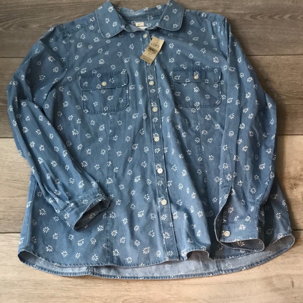 NWT Ann Taylor Loft Softened button down Shirt 100% Cotton  Size XLP